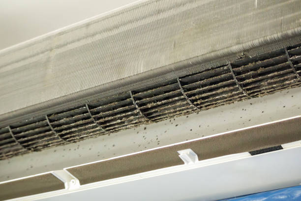 Ductwork Cleaning Services in FL