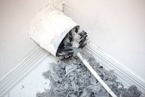 Best Affordable HVAC Duct Cleaning  in Labelle, FL